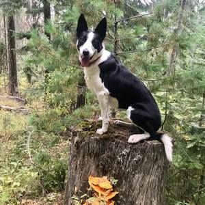 Meet your Posher, Jan